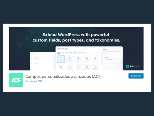 Plugin Advanced Custom Fields (ACF)